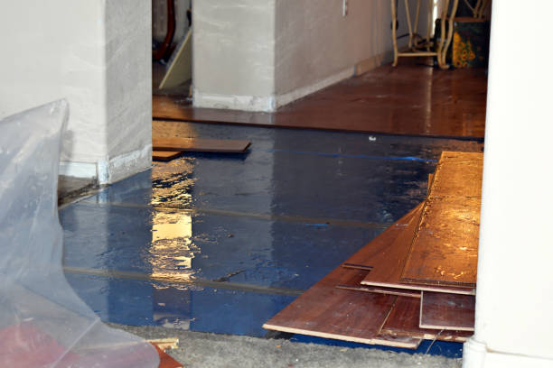 Professional Basement Flooding technician working in Monroe Township, NJ